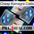 Cheap Kamagra Cialis viagra5